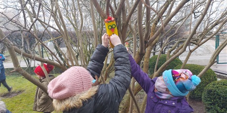 Powiększ grafikę: Dzieci wieszają na drzewach przysmaki dla ptaków.